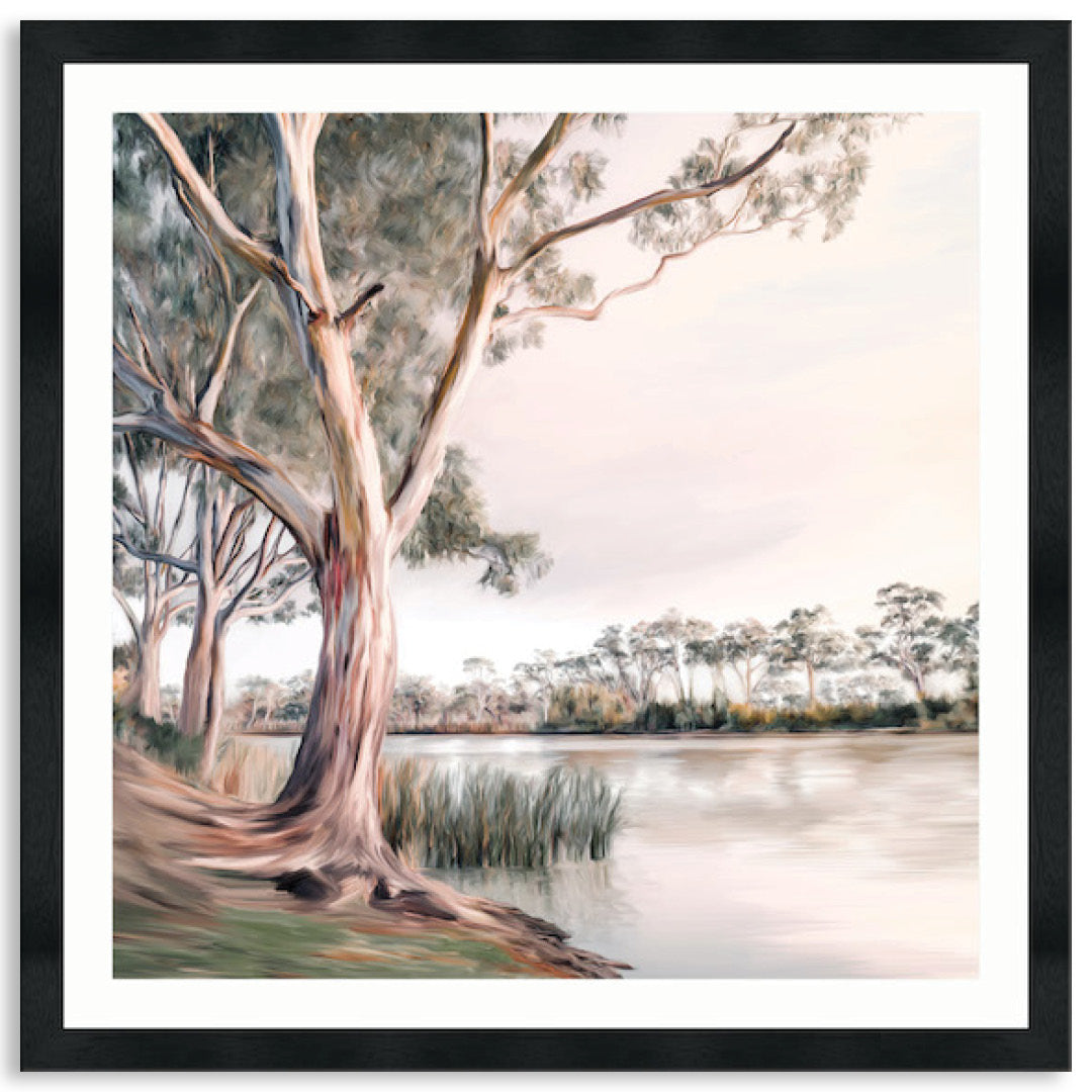 MURRAY RIVER II - Framed Print