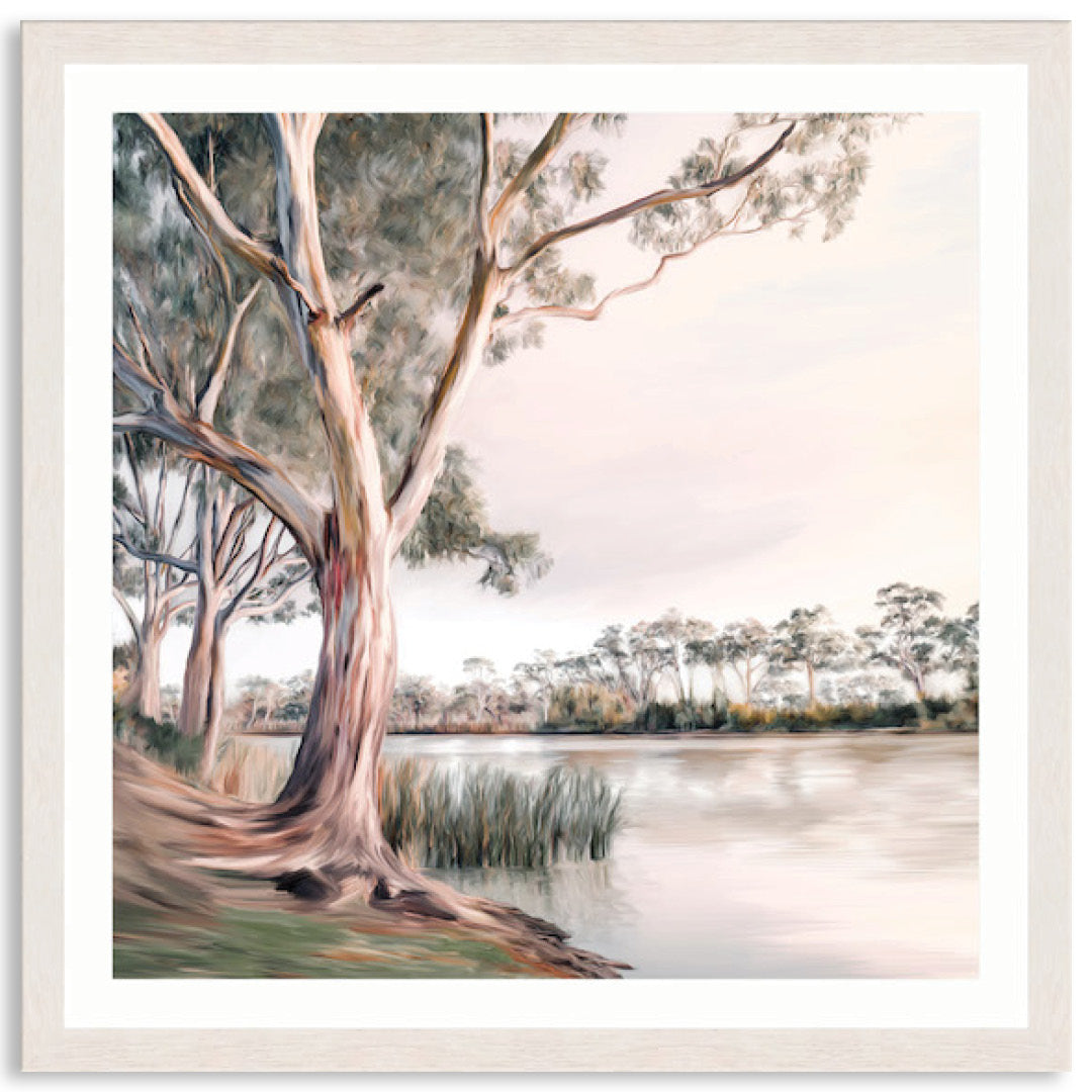 MURRAY RIVER II - Framed Print