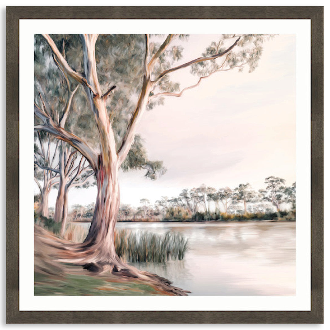 MURRAY RIVER II - Framed Print