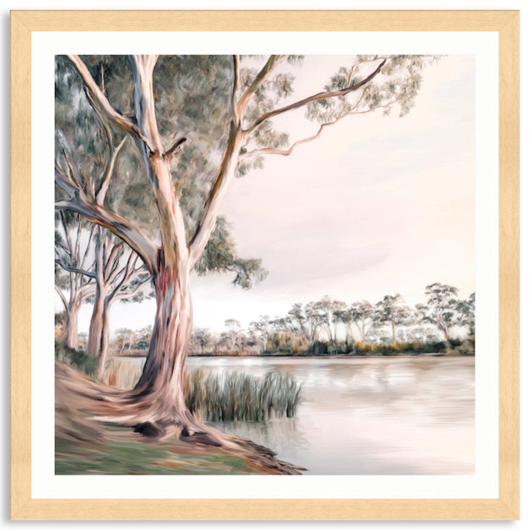 MURRAY RIVER II - Framed Print