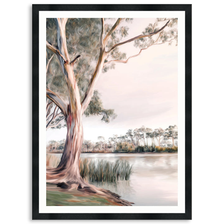 MURRAY RIVER III - Framed Print