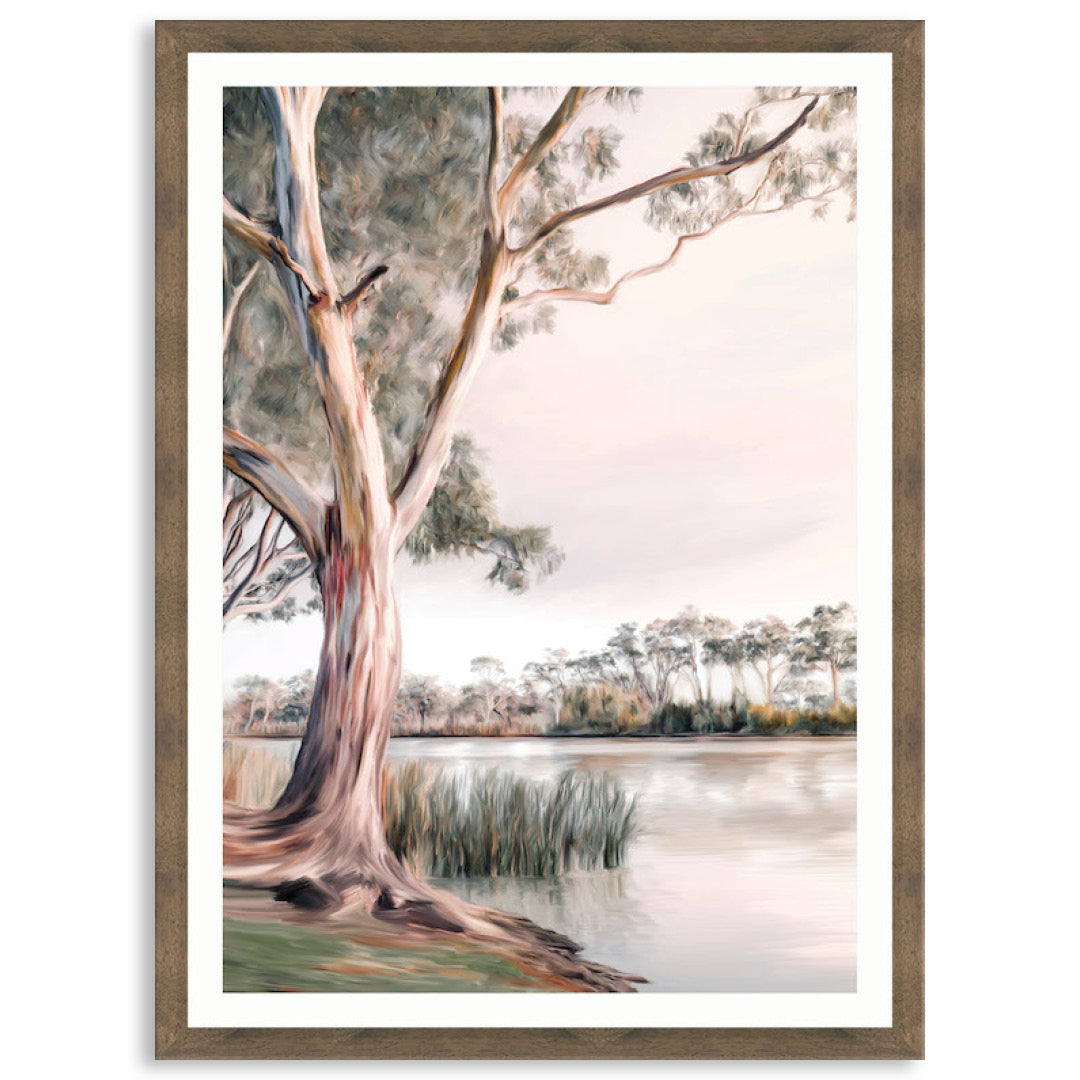 MURRAY RIVER III - Framed Print