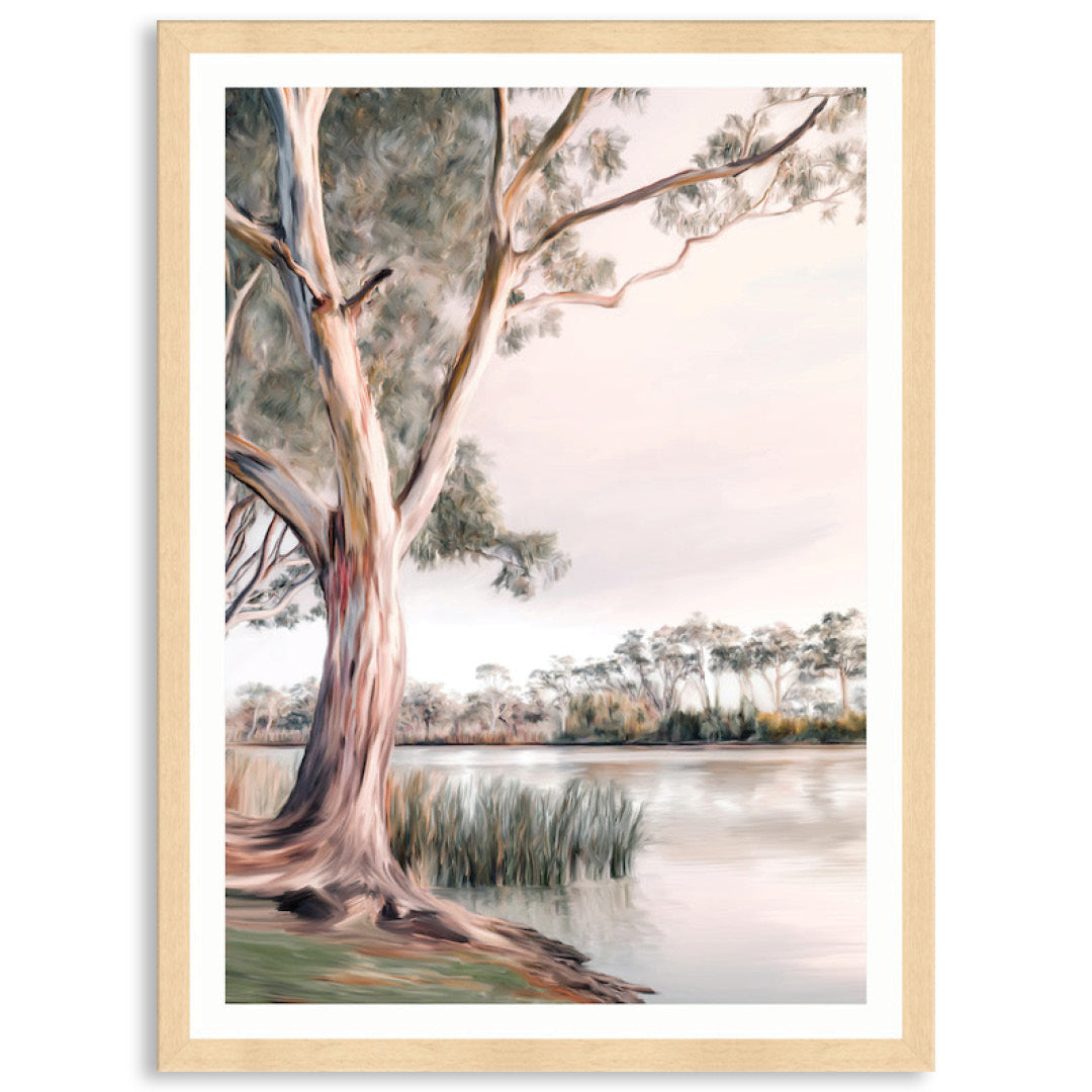 MURRAY RIVER III - Framed Print