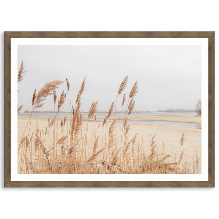 PAMPAS GRASS I - Framed Print