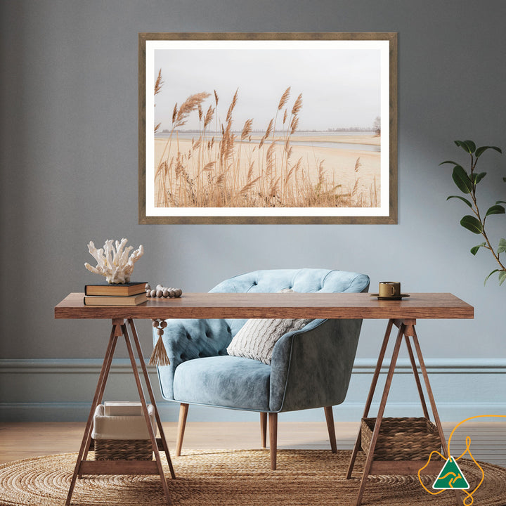 PAMPAS GRASS I - Framed Print