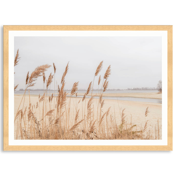 PAMPAS GRASS I - Framed Print