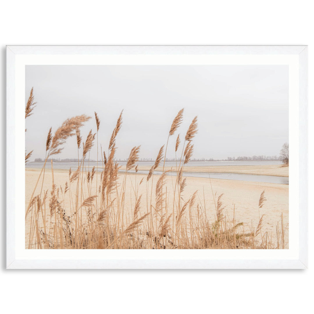 PAMPAS GRASS I - Framed Print