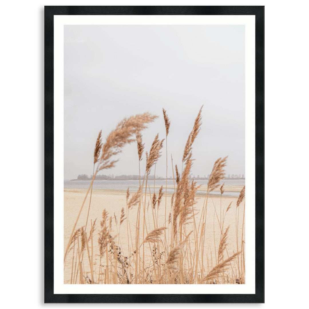 PAMPAS GRASS III - Framed Print