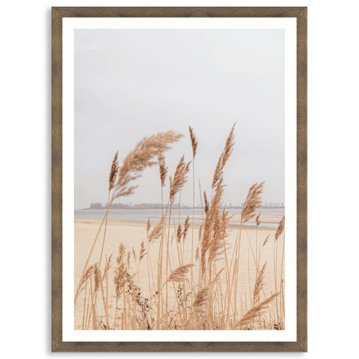 PAMPAS GRASS III - Framed Print