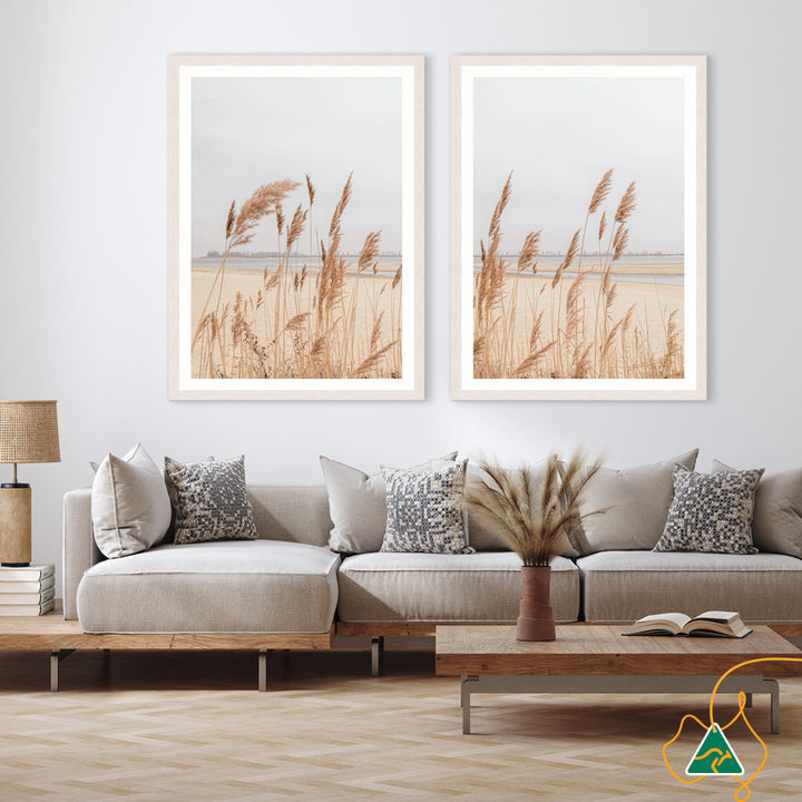 PAMPAS GRASS III - Framed Print