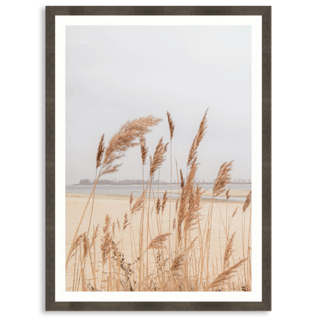 PAMPAS GRASS III - Framed Print