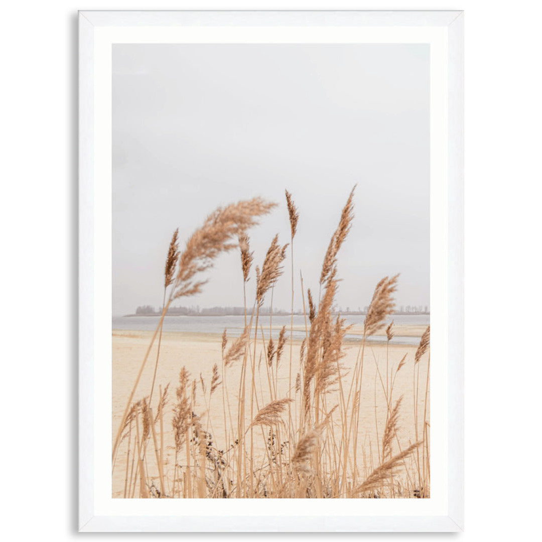 PAMPAS GRASS III - Framed Print