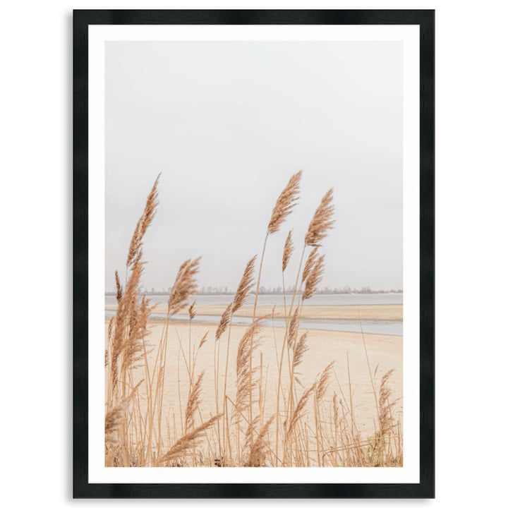 PAMPAS GRASS IV - Framed Print