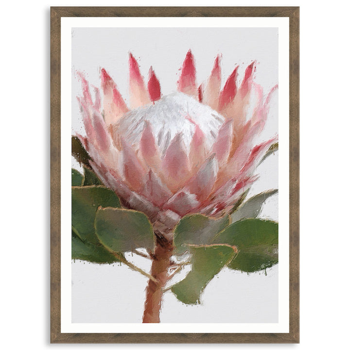 PROTEA PORTRAIT - Framed Print