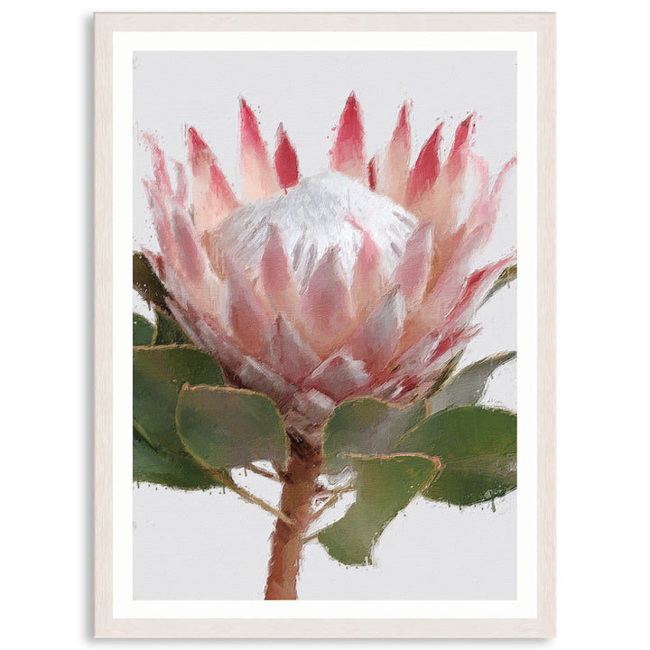 PROTEA PORTRAIT - Framed Print