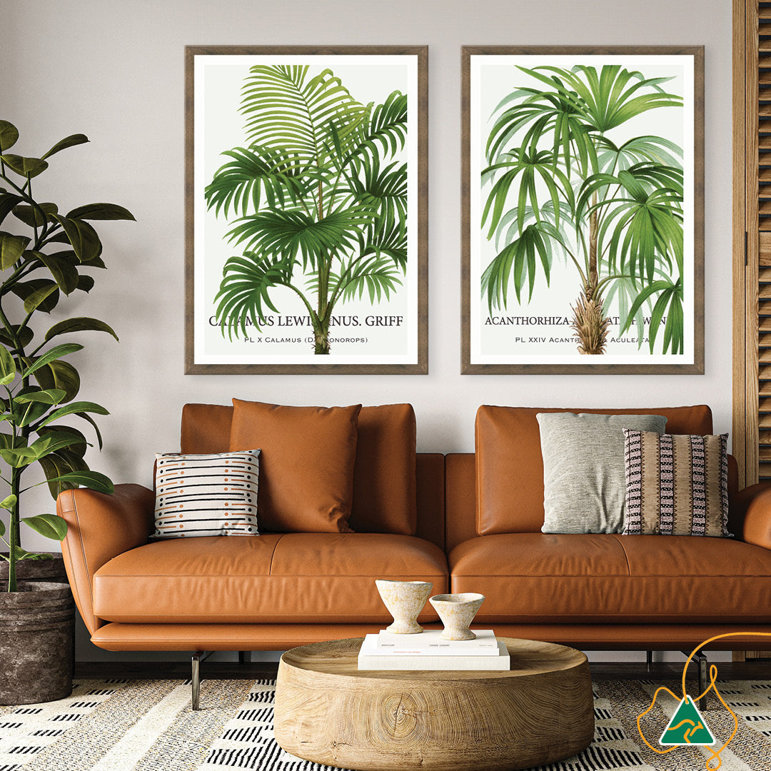 PALM COLLECTION II - Framed Print